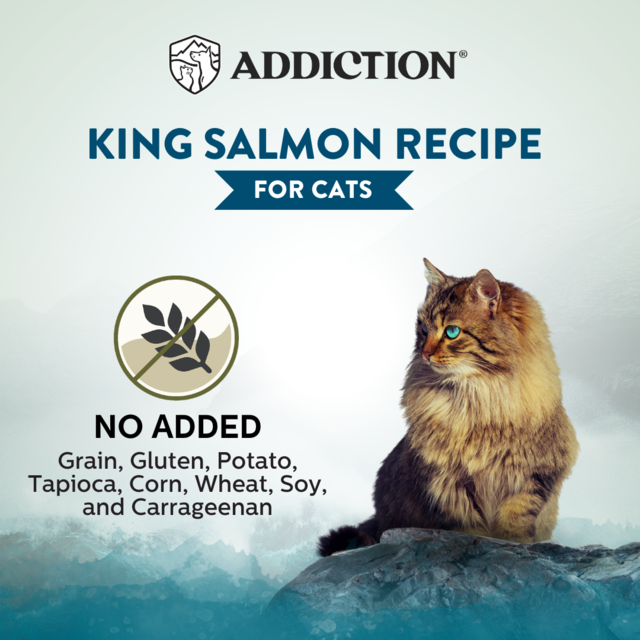 Addiction Wild Islands King Salmon Grain-Free Wet Cat Food - Product Image 4