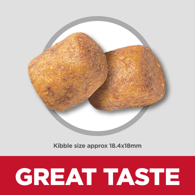 Hill's Science Diet Adult Oral Care Small & Mini Dry Dog Food - Product Image 4