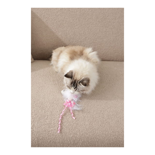 M-PETS Plume Shimmering Fish Cat Toy - Product Image 11