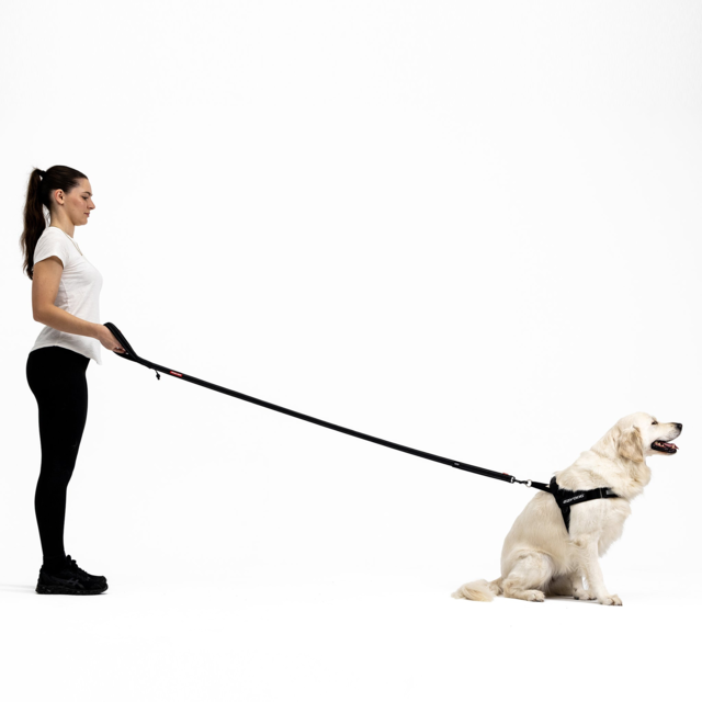 EzyDog Soft Trainer Dog Standard - Product Image 7