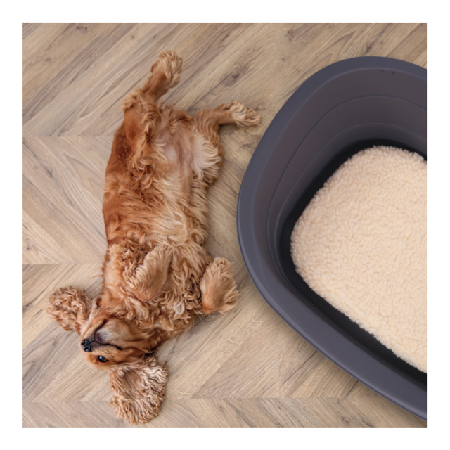 M-PETS Java Easy-Clean Hard Shell Cat and Dog Bed - Product Image 1