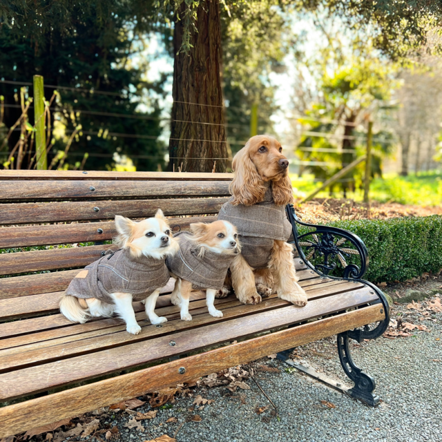 Pointer & Hound Highland Dog Coat  - Product Image 4