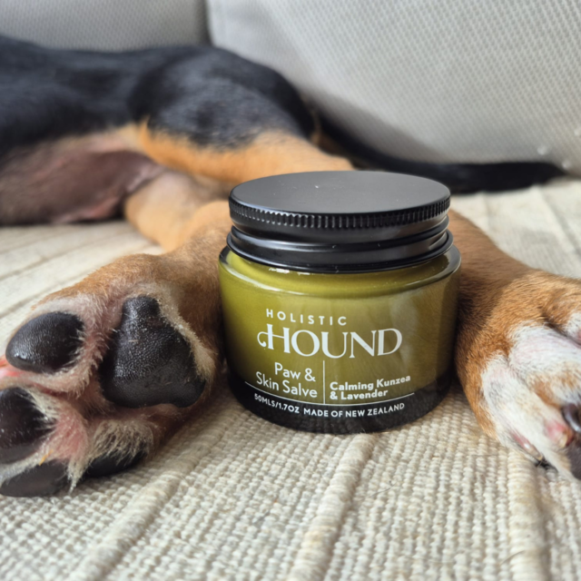Holistic Hound Dog Paw & Skin Salve - Product Image 2