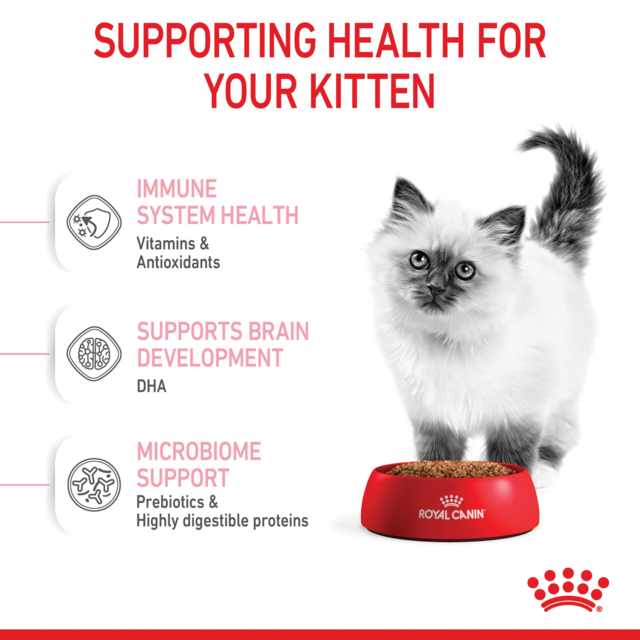 Royal Canin Kitten Dry Cat Food Trial Bag - Product Image 5
