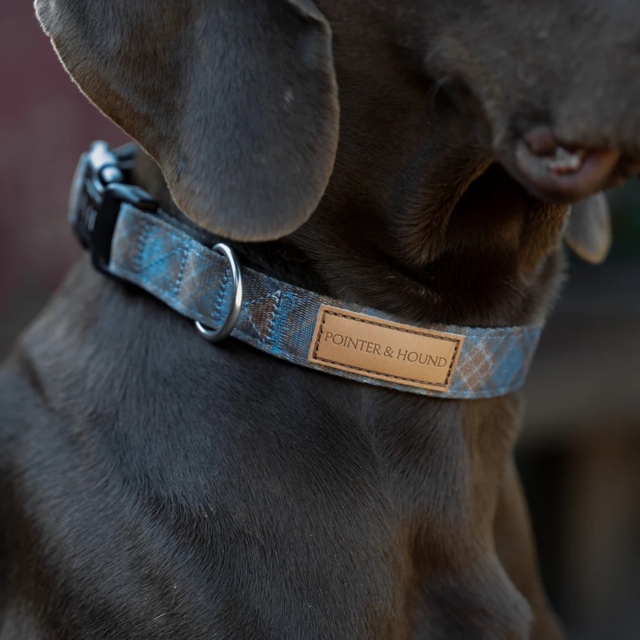 Pointer & Hound Signature Dog Collar - Product Image 8
