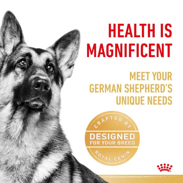 Royal Canin German Shepherd Adult Dry Dog Food - Product Image 3