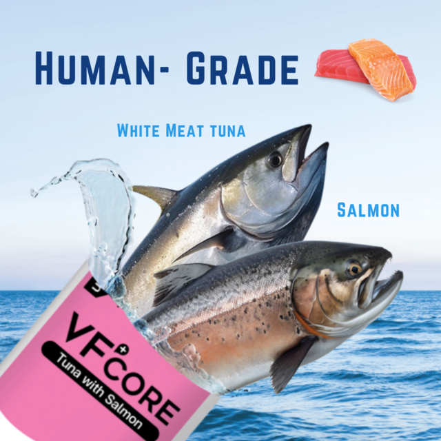 VetSynova VF+ Core SK Skin Support - Product Image 4