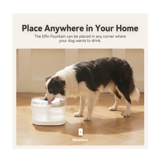 Cheerble Elfin D1 Pro Wireless Cat and Dog Water Fountain  - Product Image 4
