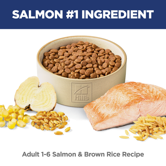 Hill's Science Diet Adult Salmon & Brown Rice Recipe Dry Cat Food - Product Image 3