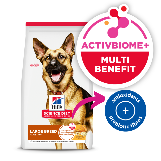 Hill's Science Diet Adult 6+ Large Breed Senior Dry Dog Food - Product Image