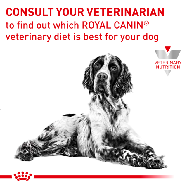 Royal Canin Vet Gastrointestinal Low Fat Dry Dog Food - Product Image 7