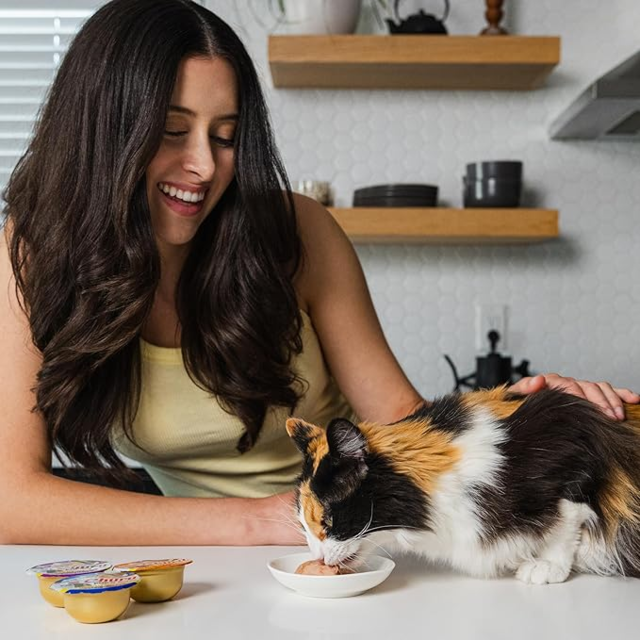 Inaba Churu Pop'N Serve Chicken Recipe Cat Treats - Product Image 3