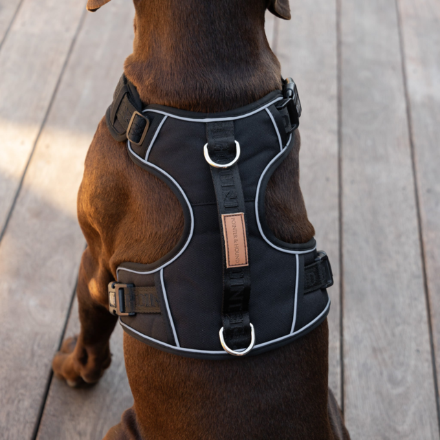Pointer & Hound Signature Dog Harness - Product Image 8