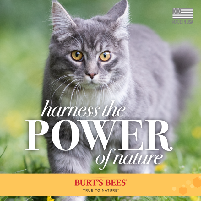 Burt's Bees Cat Waterless Shampoo - Product Image 4