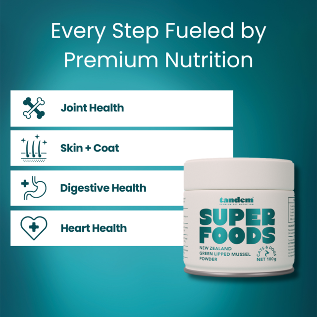 Tandem Cat & Dog Green Lipped Mussel Powder Super Food - Product Image 1