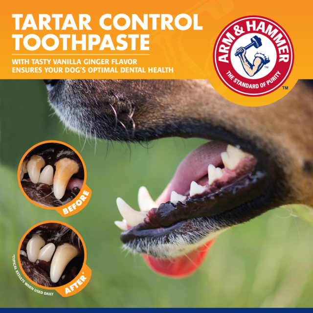 Arm & Hammer Tartar Control Vanilla Ginger Dental Training Kit for Puppies - Product Image 4