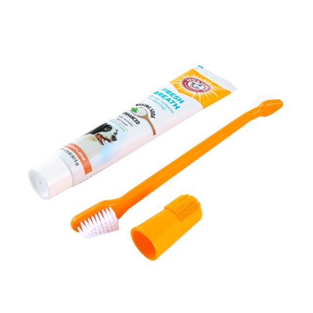 Arm & Hammer Fresh Breath Chicken Dental Kit for Dogs - Product Image 2