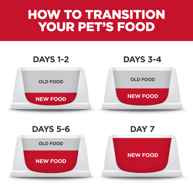 Hill's Science Diet Adult Sensitive Stomach & Skin Small & Mini Dry Dog Food - Product Image 8