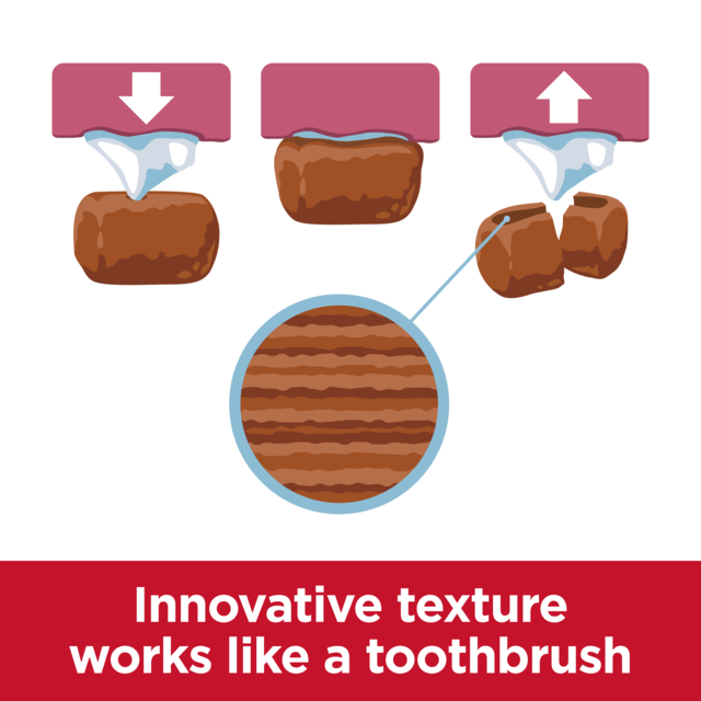 Hill's Science Diet Adult Oral Care Small & Mini Dry Dog Food - Product Image 2