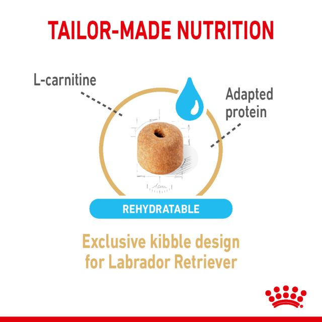 Royal Canin Labrador Retriever Adult 5+ Senior Dry Dog Food - Product Image 4