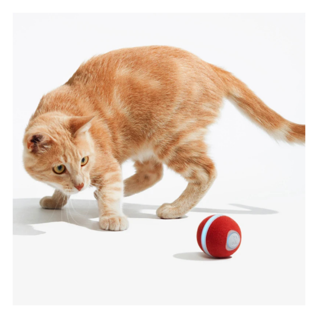Cheerble Wicked Ball M3 Smart Cat Toy  - Product Image 3