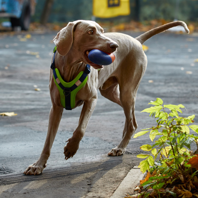 JOYSER Active Rugby Ball Dog Toy - Product Image 4