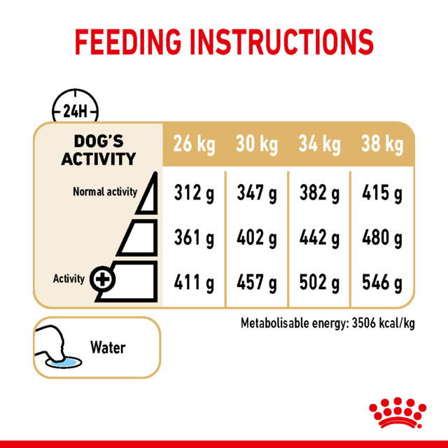 Royal Canin Labrador Retriever Adult 5+ Senior Dry Dog Food - Product Image 6