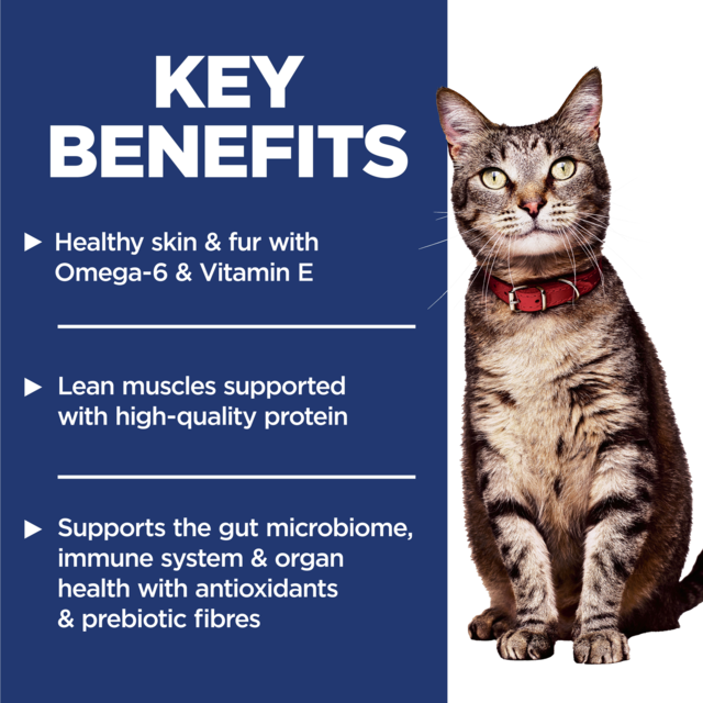 Hill's Science Diet Adult Salmon & Brown Rice Recipe Dry Cat Food - Product Image 2