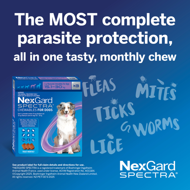 NexGard Spectra Flea Tick & Worm Treatment Chew for Dogs - Product Image 2