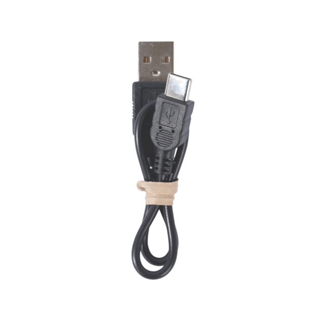 M-PETS Flash Rechargeable LED Light Dog Band - Product Image 3