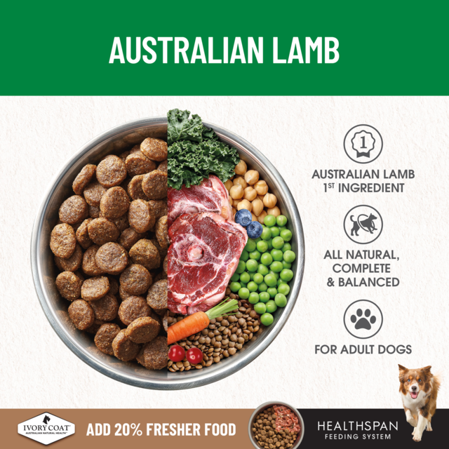 Ivory Coat Grain Free Large Breed Lamb Adult Dry Dog Food - Product Image 2