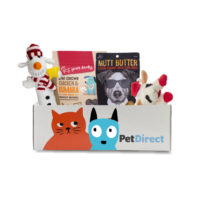 PetDirect Goody Box Christmas for Dogs - Product Image 3