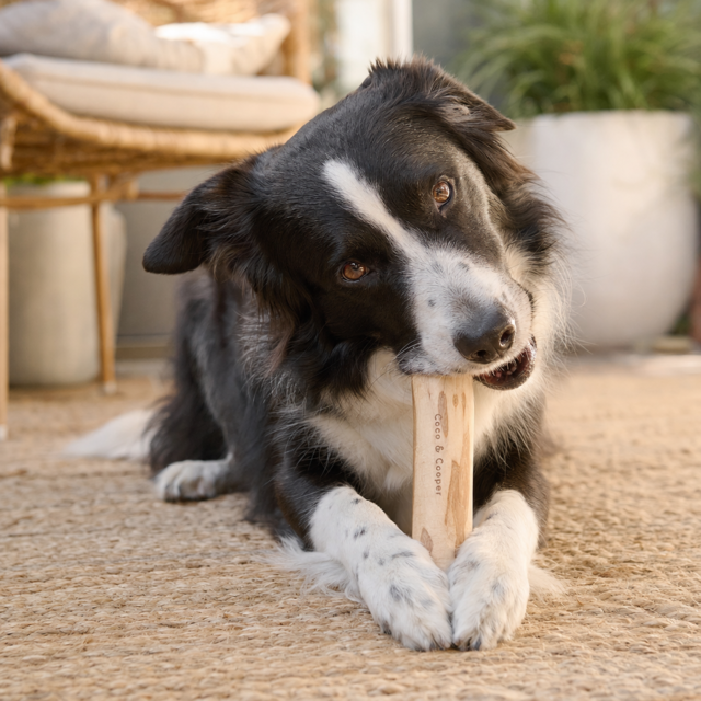 Coco & Cooper Natural Coffee Wood Chew Dog Toy - Product Image 2