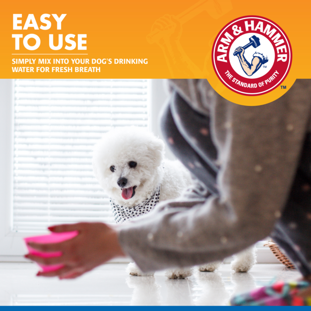 Arm & Hammer Tartar Control Dental Water Additive for Dogs - Product Image 2