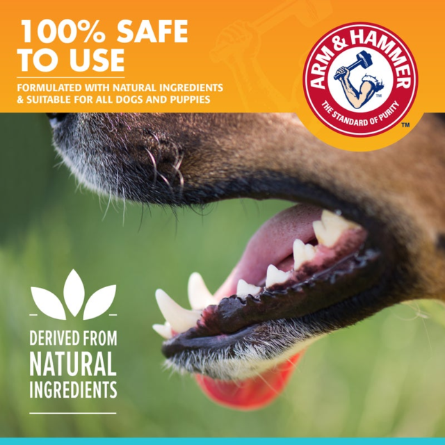 Arm & Hammer Fresh Breath Mint Dental Spray - Product Image 3