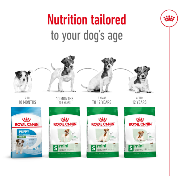 Royal Canin Mini Adult Dry Dog Food Trial Bag - Product Image 5