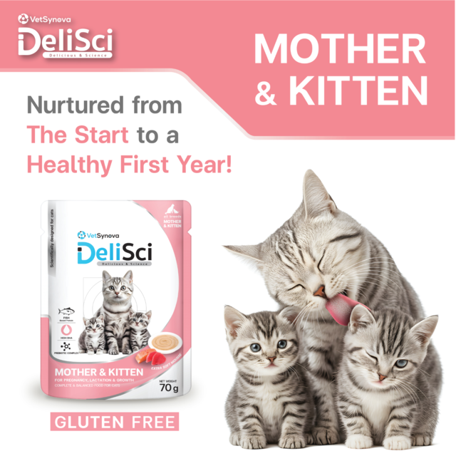 VetSynova DeliSci Mother & Kitten Mousse Wet Cat Food  - Product Image 2