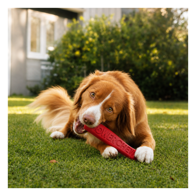 M-PETS Power Chew Stick Dog Tough Toy - Product Image 6