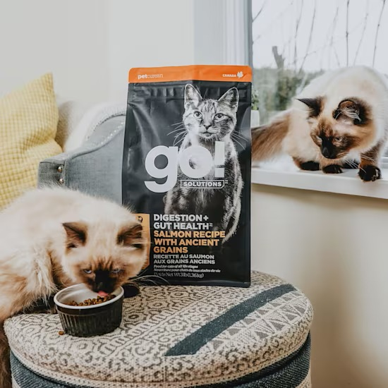 GO! Solutions Digestion + Gut Health Salmon Dry Cat Food - Product Image 3