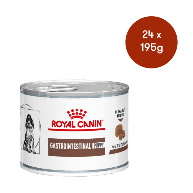 Ultra Soft Mousse Gastro Intestinal Junior Dog Food Royal Canin