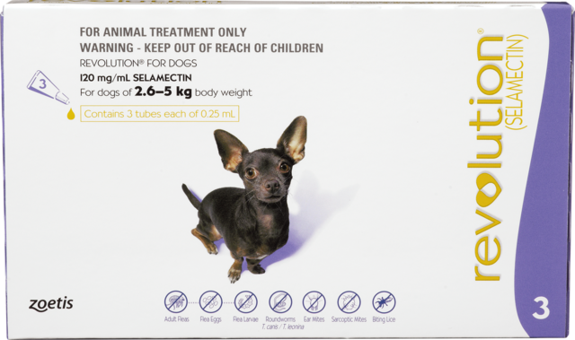 Revolution Flea Treatment for Dogs Petdirect