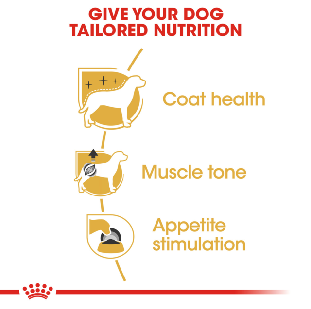 Royal Canin Poodle Adult Wet Dog Food - Product Image 4