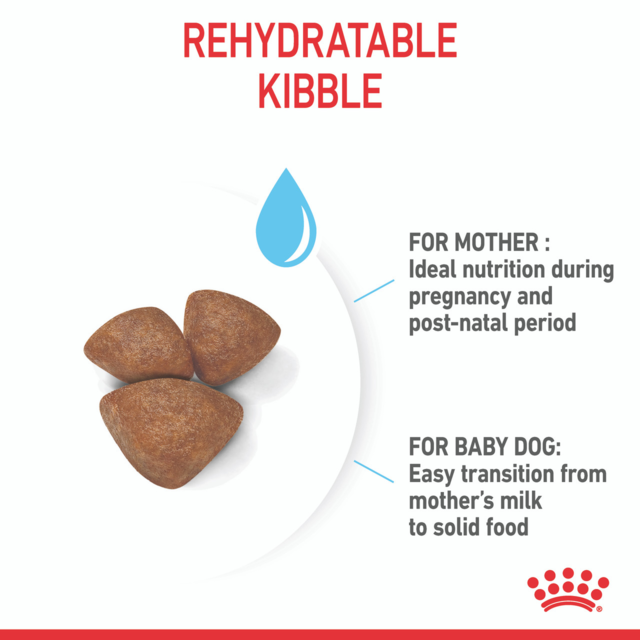 Royal Canin Mini Starter Mother & Babydog Dry Dog Food - Product Image 4