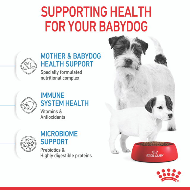 Royal Canin Mini Starter Mother & Babydog Dry Dog Food - Product Image 3