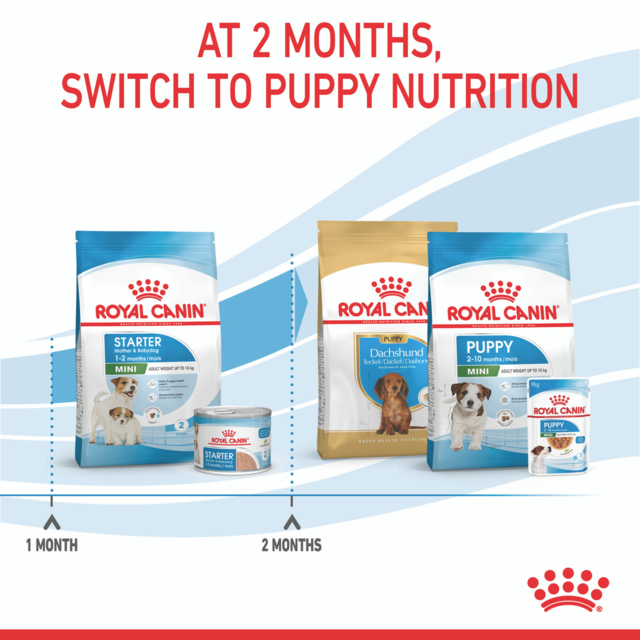 Royal Canin Mini Starter Mother & Babydog Dry Dog Food - Product Image 5