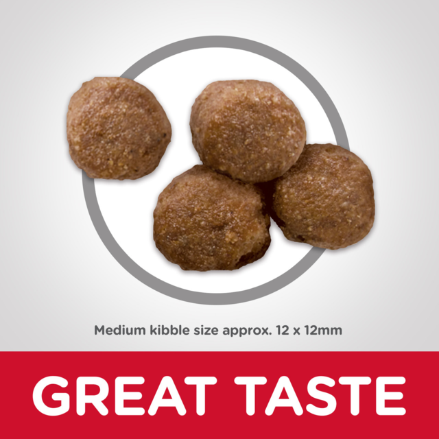 Hill's Science Diet Adult Healthy Mobility Dry Dog Food - Product Image 3