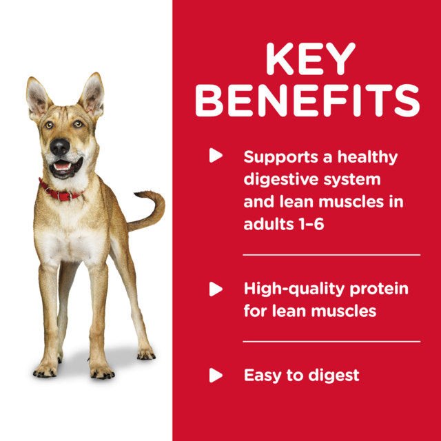 Hill's Science Diet Adult Savory Stew Beef & Vegetables Canned Wet Dog Food - Product Image 2