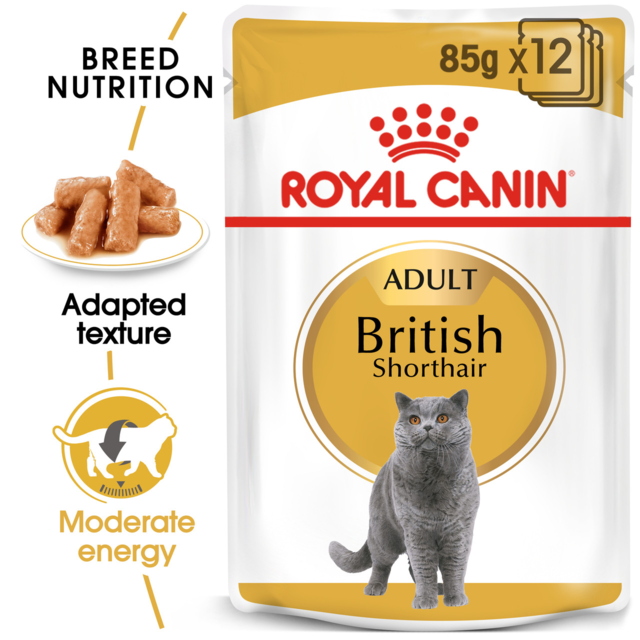 Royal Canin British Shorthair Adult Wet Cat Food - Product Image 1