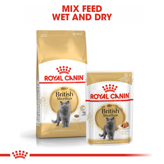 Royal Canin British Shorthair Adult Wet Cat Food - Product Image 6