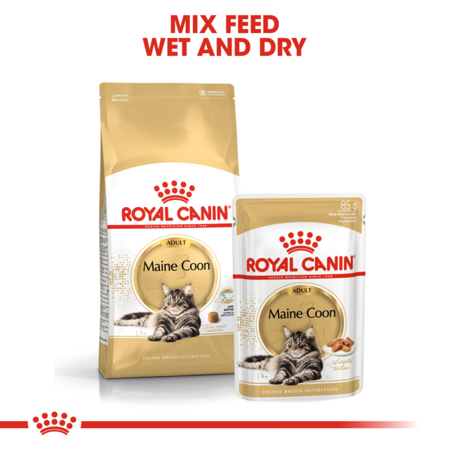 Royal Canin Maine Coon Adult Wet Cat Food - Product Image 3
